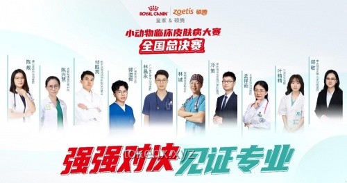 第二届小动物皮肤病论坛过敏主题实操指南：专家破解临床诊疗困局